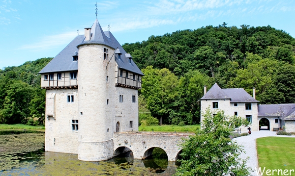 53_IMG_8204_vvk-Beringen_2025-07-13_Ardennenrit_Forel-vijver@Chat