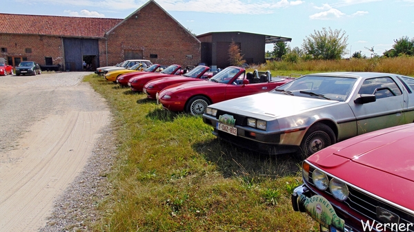 70_DSC05079_vvk-Beringen_2025-07-13_Ardennenrit_fin@KerKom_Stag_D