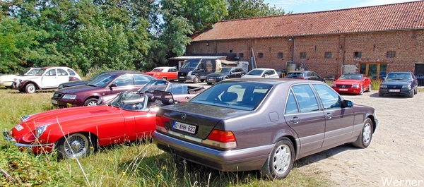 71_DSC05080_vvk-Beringen_2025-07-13_Ardennenrit_fin@KerKom_Jaguar