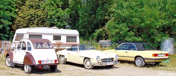 72_DSC05081_vvk-Beringen_2025-07-13_Ardennenrit_fin@KerKom_Citroe