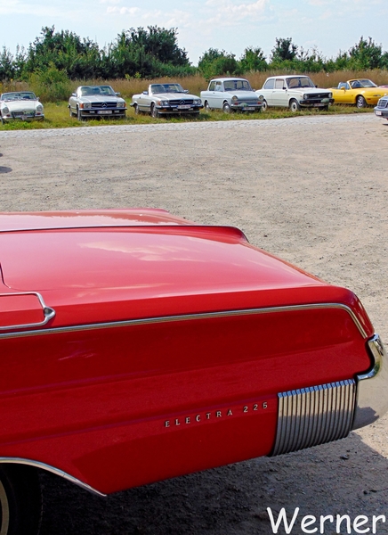 73_DSC05082_vvk-Beringen_2025-07-13_Ardennenrit_fin@KerKom_Buick-