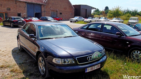 74_DSC05083_vvk-Beringen_2025-07-13_Ardennenrit_fin@KerKom_Auwdi-