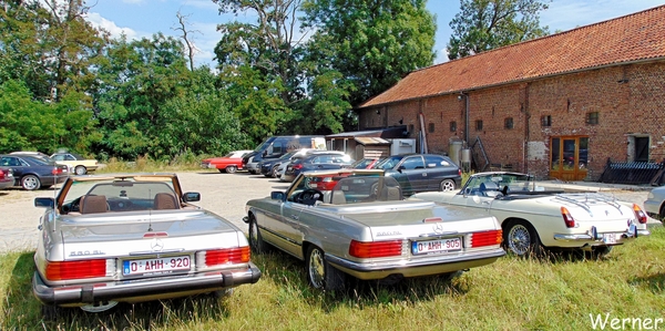 78_DSC05088_vvk-Beringen_2025-07-13_Ardennenrit_fin@KerKom_Merced