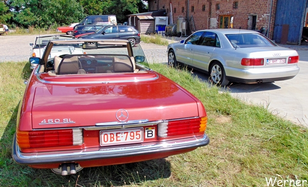 79_DSC05089_vvk-Beringen_2025-07-13_Ardennenrit_fin@KerKom_Merced