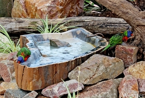 IMG_3182-12d_RAMc_Weekend-Giethoorn_2025-09-13-za_Pantropica@Lutt