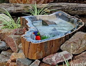 IMG_3183-12d_RAMc_Weekend-Giethoorn_2025-09-13-za_Pantropica@Lutt