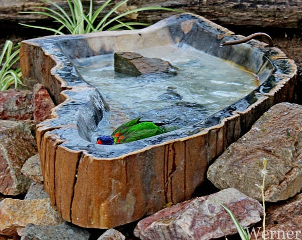 IMG_3184-12d_RAMc_Weekend-Giethoorn_2025-09-13-za_Pantropica@Lutt