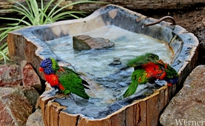 IMG_3187-12d_RAMc_Weekend-Giethoorn_2025-09-13-za_Pantropica@Lutt