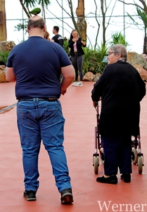 IMG_3189-12d_RAMc_Weekend-Giethoorn_2025-09-13-za_Pantropica@Lutt