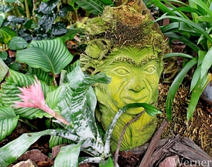 IMG_3204-12d_RAMc_Weekend-Giethoorn_2025-09-13-za_Pantropica@Lutt