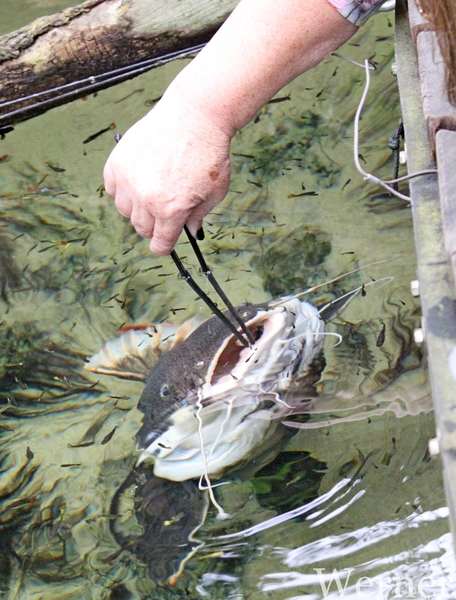 IMG_3232-12d_RAMc_Weekend-Giethoorn_2025-09-13-za_Pantropica@Lutt