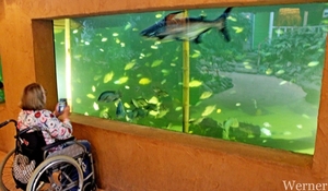 IMG_3295-12d_RAMc_Weekend-Giethoorn_2025-09-13-za_Pantropica@Lutt