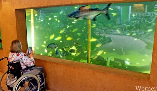 IMG_3295-12d_RAMc_Weekend-Giethoorn_2025-09-13-za_Pantropica@Lutt