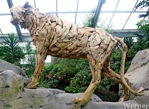 IMG_3309-12d_RAMc_Weekend-Giethoorn_2025-09-13-za_Pantropica@Lutt