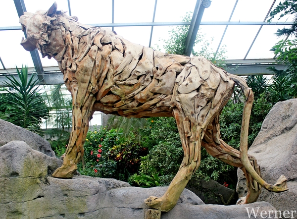 IMG_3309-12d_RAMc_Weekend-Giethoorn_2025-09-13-za_Pantropica@Lutt