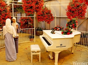 IMG_3337-12d_RAMc_Weekend-Giethoorn_2025-09-13-za_Pantropica@Lutt