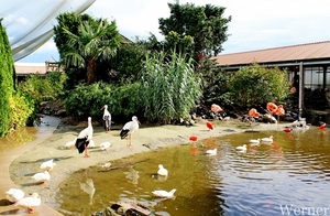 IMG_3368-12d_RAMc_Weekend-Giethoorn_2025-09-13-za_Pantropica@Lutt