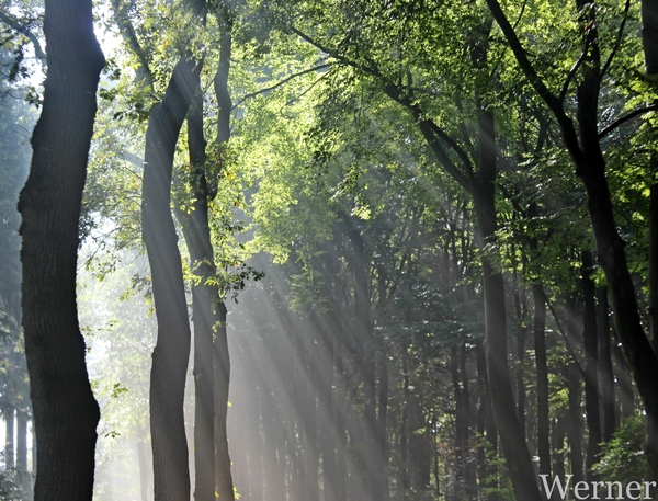 IMG_3437-12d_RAMc_Weekend-Giethoorn_2025-09-14-zo_Fletcher-hotel@