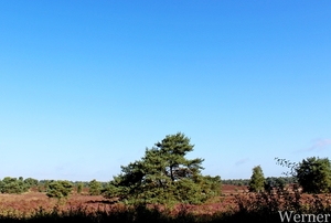 IMG_3439-12d_RAMc_Weekend-Giethoorn_2025-09-14-zo_onderweg=pracht