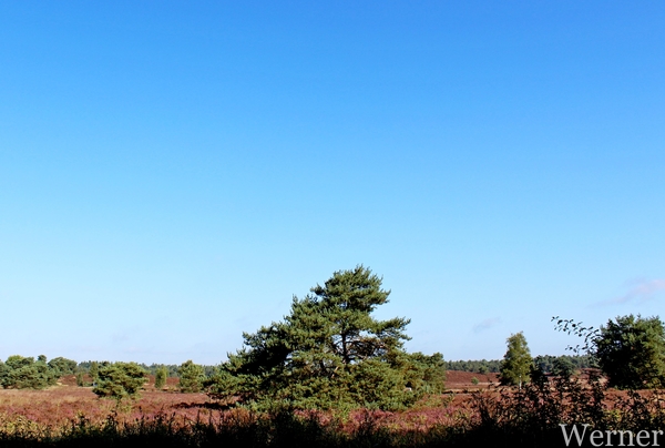 IMG_3439-12d_RAMc_Weekend-Giethoorn_2025-09-14-zo_onderweg=pracht