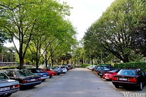 IMG_2993-12d_RAMc_Weekend-Giethoorn_2025-09-12-vr_De-Soeverein@Lo
