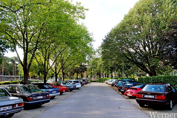 IMG_2993-12d_RAMc_Weekend-Giethoorn_2025-09-12-vr_De-Soeverein@Lo