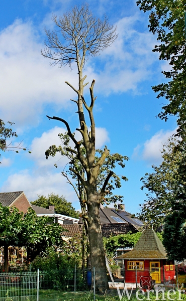 IMG_3002-12d_RAMc_Weekend-Giethoorn_2025-09-12-vr_onderweg_rare-b
