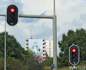 IMG_3030-12d_RAMc_Weekend-Giethoorn_2025-09-12-vr_onderweg_paardj