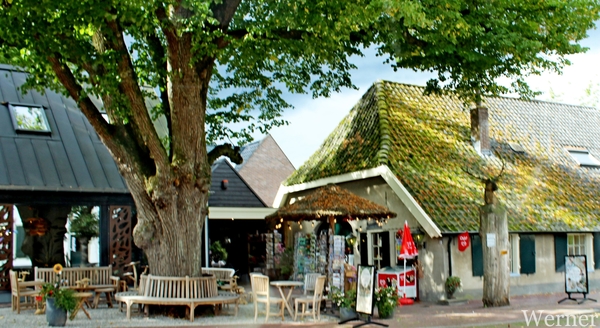 IMG_3039-12d_RAMc_Weekend-Giethoorn_2025-09-12-vr_onderweg_kunst_