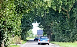 IMG_3088-12d_RAMc_Weekend-Giethoorn_2025-09-13-za_onderweg_bomen&