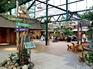 IMG_3147-12d_RAMc_Weekend-Giethoorn_2025-09-13-za_onderweg_Pantro