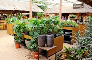 IMG_3155-12d_RAMc_Weekend-Giethoorn_2025-09-13-za_onderweg_Pantro