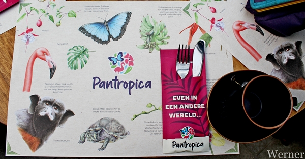 IMG_3157-12d_RAMc_Weekend-Giethoorn_2025-09-13-za_onderweg_Pantro