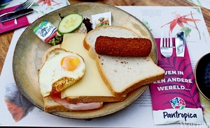 IMG_3158-12d_RAMc_Weekend-Giethoorn_2025-09-13-za_onderweg_Pantro