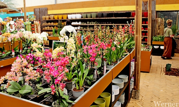 IMG_3160-12d_RAMc_Weekend-Giethoorn_2025-09-13-za_onderweg_Pantro