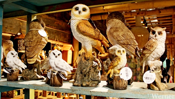 IMG_3166-12d_RAMc_Weekend-Giethoorn_2025-09-13-za_Pantropica@Lutt