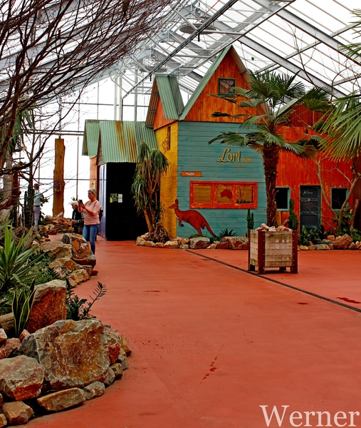 IMG_3168-12d_RAMc_Weekend-Giethoorn_2025-09-13-za_Pantropica@Lutt