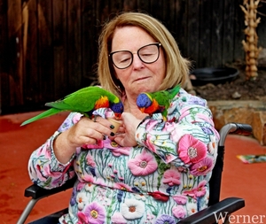 IMG_3174-12d_RAMc_Weekend-Giethoorn_2025-09-13-za_Pantropica@Lutt