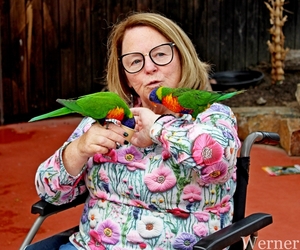 IMG_3175-12d_RAMc_Weekend-Giethoorn_2025-09-13-za_Pantropica@Lutt