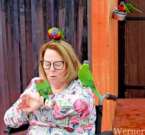 IMG_3177-12d_RAMc_Weekend-Giethoorn_2025-09-13-za_Pantropica@Lutt