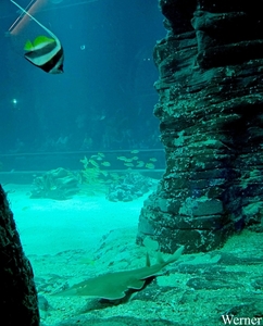 20250918_132345-S25_2025-09-18-do_vvk-Mech_2caps_Nausicaá_schopn