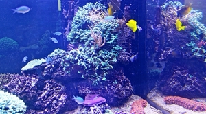 IMG_3793-12d_2025-09-18-do_vvk-Mech_2caps_Nausicaá_gele-doktersv