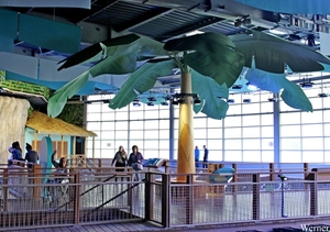 IMG_3874-12d_2025-09-18-do_vvk-Mech_2caps_Nausicaá_waar-is-Gaby