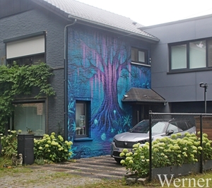 IMG_1385_vvk-Apen_tZeetje_proefrit-002_2025-07-27_Graffiti-kunst@