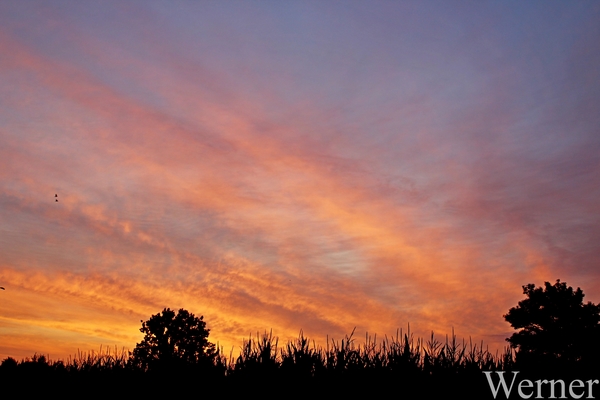 IMG_1823-12d__vvk-Apen_tZeetje_proefrit-003_2025-08-09-za_Ochtend