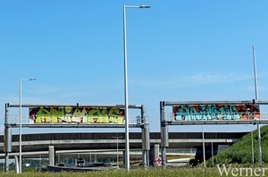 IMG_1844_vvk-Apen_tZeetje_2025-08-10-zo_onderweg_Animals-bij-held