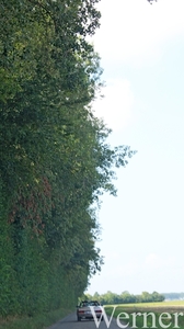 IMG_1848_vvk-Apen_tZeetje_2025-08-10-zo_onderweg_Mercedes-280-SL_