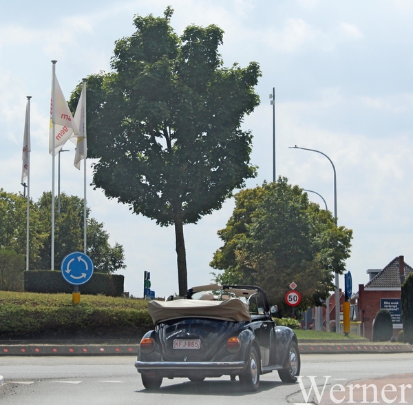 IMG_1851_vvk-Apen_tZeetje_2025-08-10-zo_onderweg_vw-Kever-1303_QQ