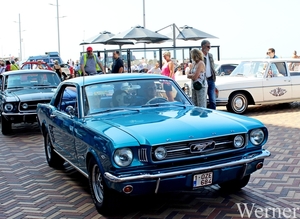 IMG_1869_vvk-Apen_tZeetje_2025-08-10-zo_Wenduine-opden-Dijk_Ford-