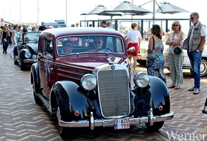 IMG_1871_vvk-Apen_tZeetje_2025-08-10-zo_Wenduine-opden-Dijk_Merce